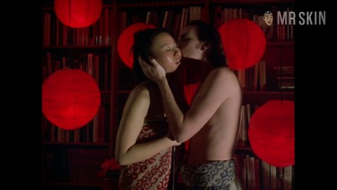 Vivian Wu Nude Naked Pics And Sex Scenes At Mr Skin