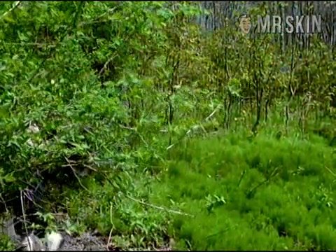 Kelly Gallant Nude Naked Pics And Sex Scenes At Mr Skin