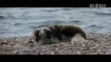Robroy neeson hd 01 small 3